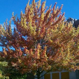 Meet your Posher, Kerri